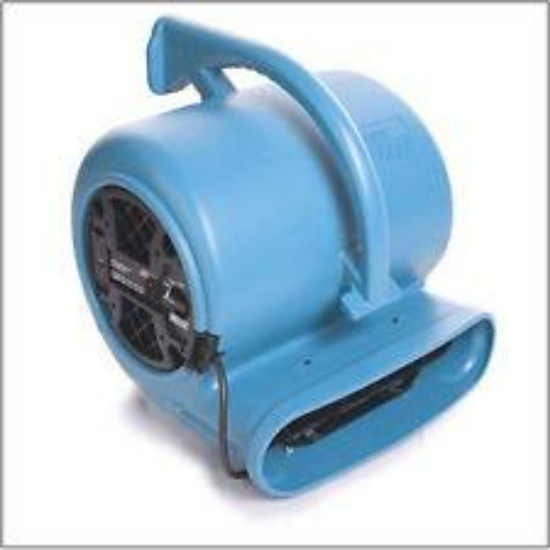 Picture of Fan Carpet 