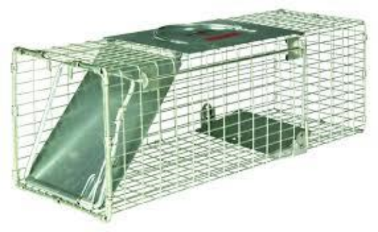 Picture of Trap, Live Animal
